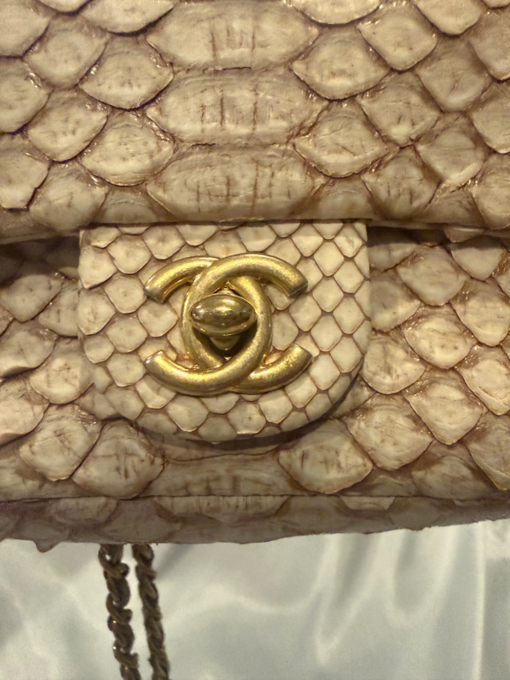 Chanel Python mini flap bag - Picture 7 of 15